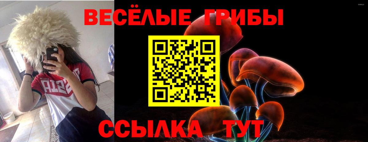 сколько стоит  Галлюциногенные грибы ЛСД  Вход с VPN  Новотроицк 